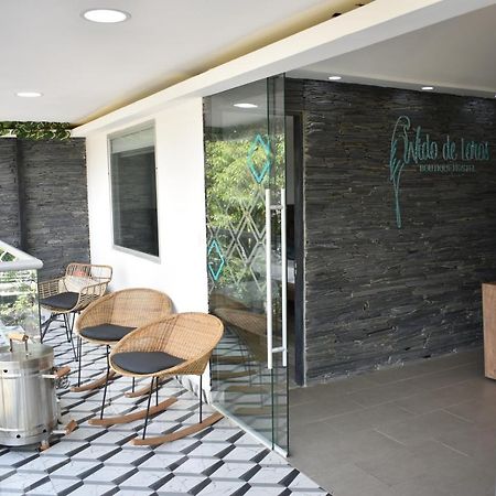 Nido de Loros Medellín Exterior foto