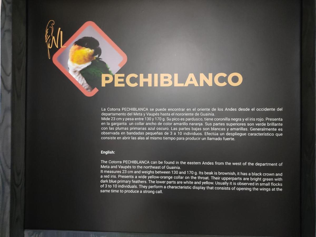Nido de Loros Medellín Exterior foto