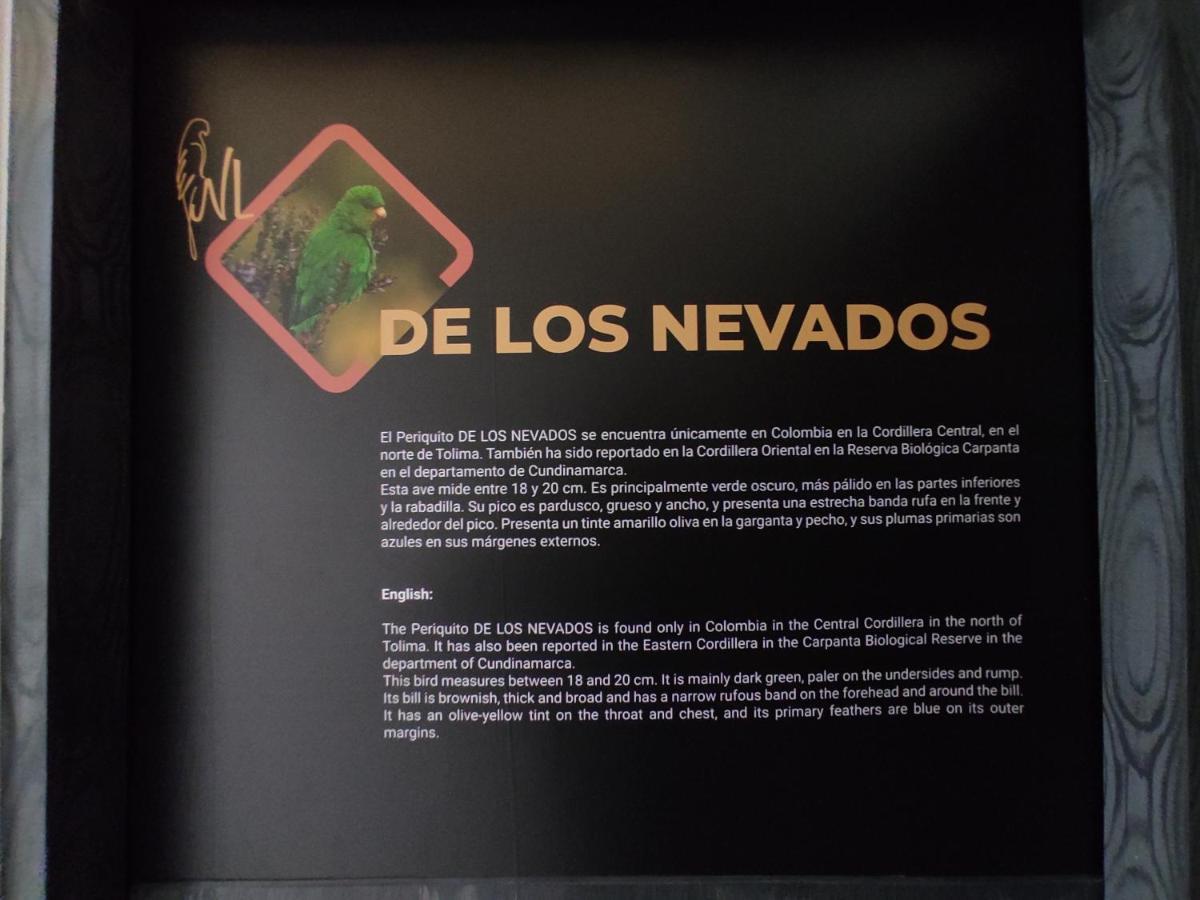 Nido de Loros Medellín Exterior foto